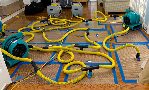 Professional Sewage Cleanup technician working in Avon, MN